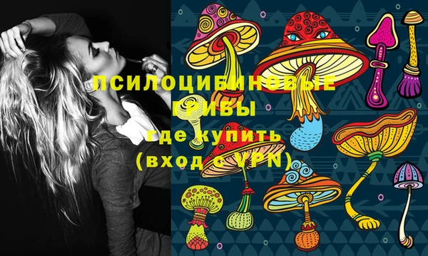 PSILOCYBIN Балахна