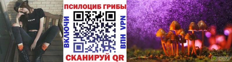 Псилоцибиновые грибы мухоморы  дарнет шоп  Поворино 